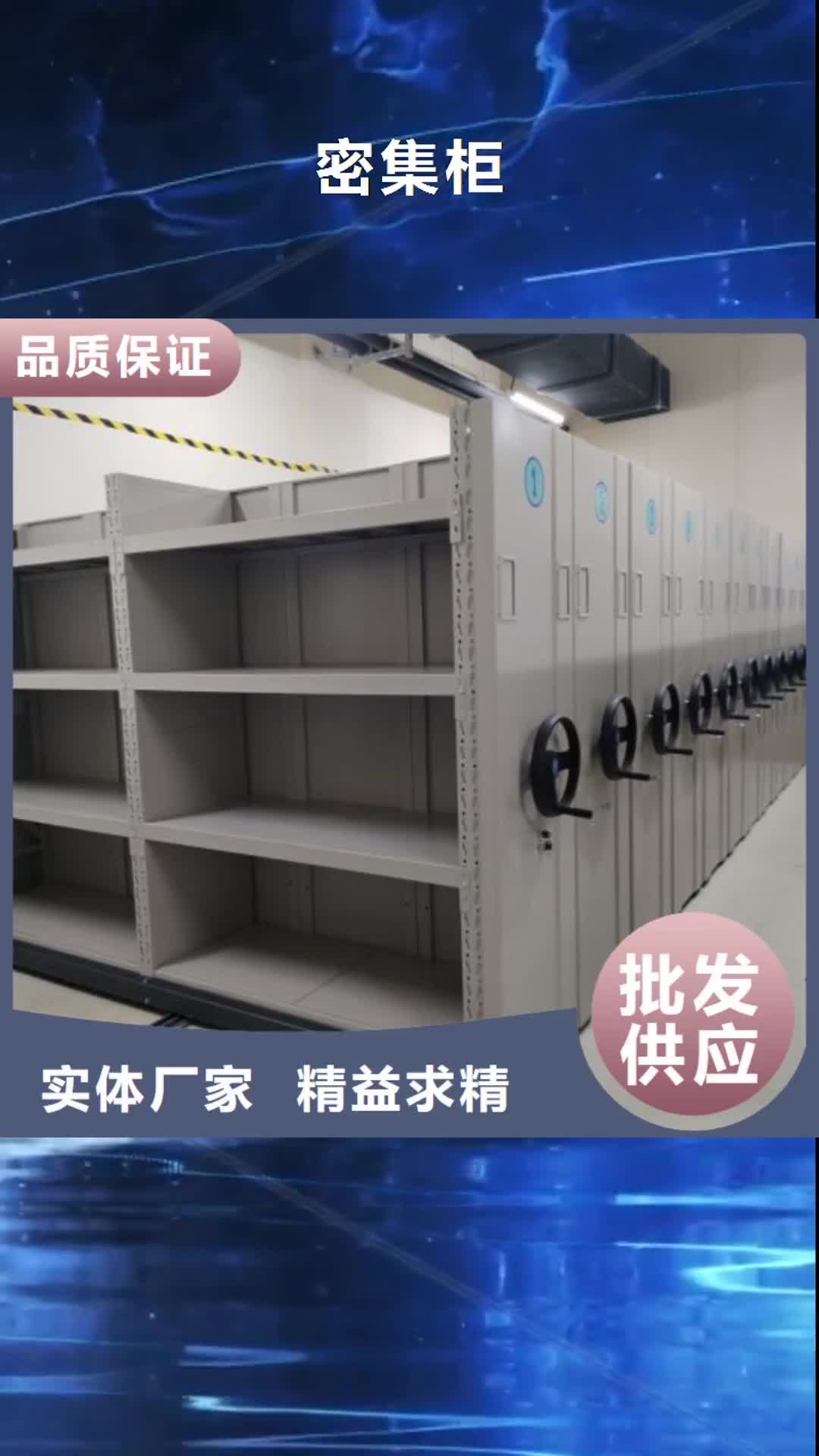 海南 密集柜,【斜拉密集架】高标准高品质