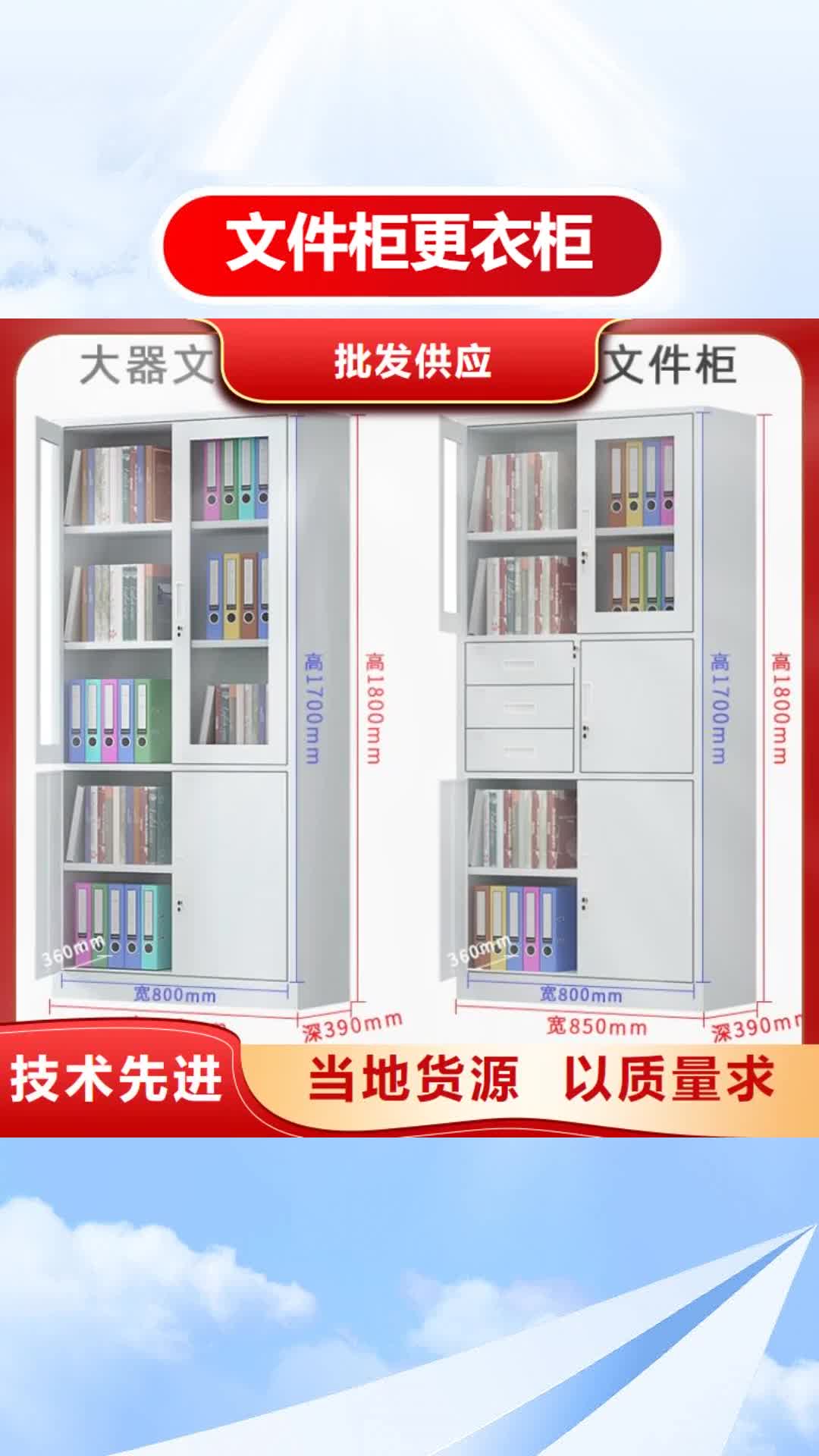 【滁州 文件柜更衣柜_轻型货架老客户钟爱】