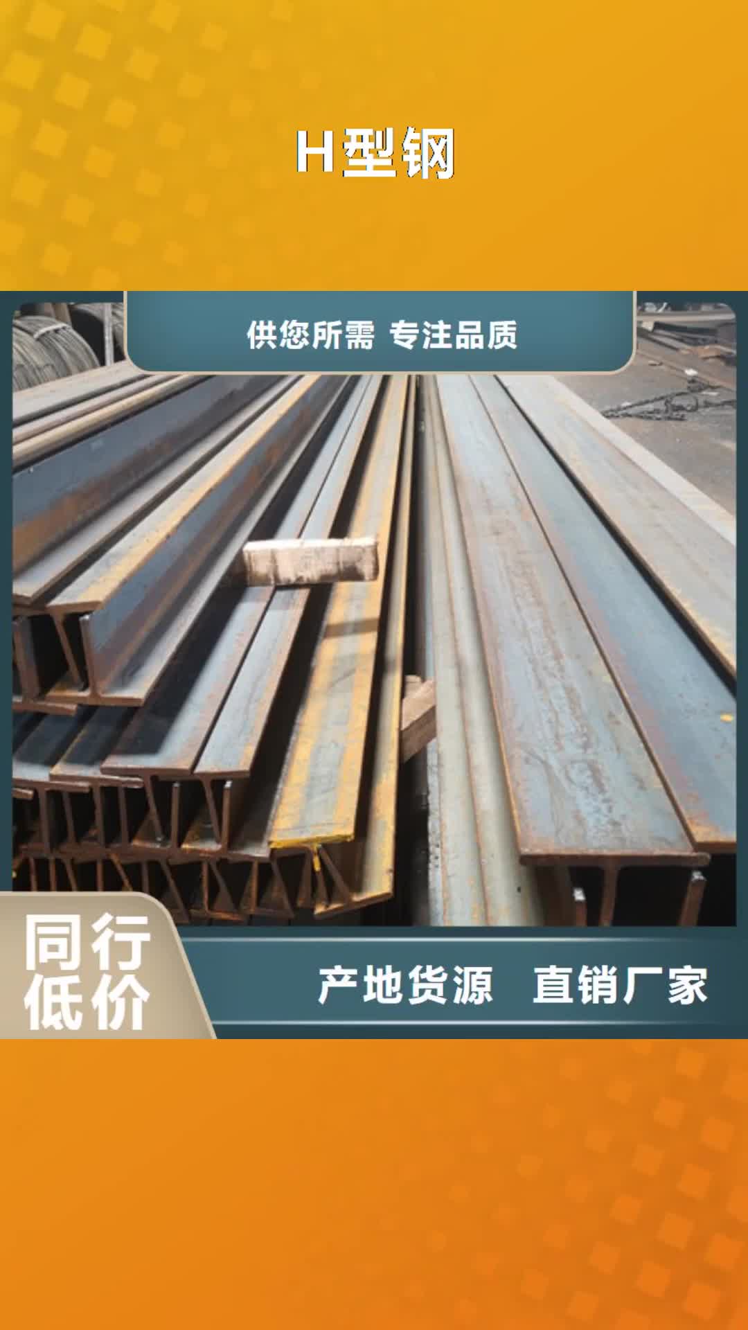 乐山【H型钢】 钢管喷漆厂家十分靠谱