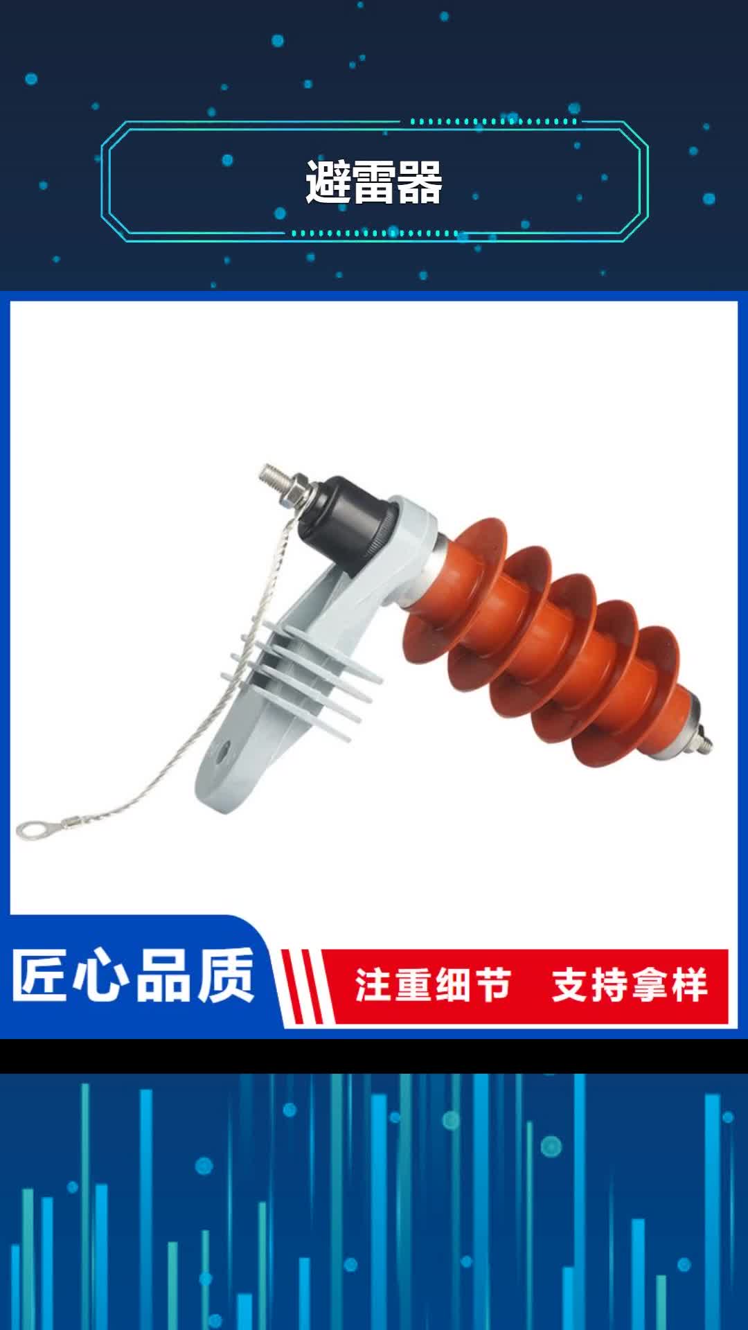 四平【避雷器】-绝缘子质量看得见