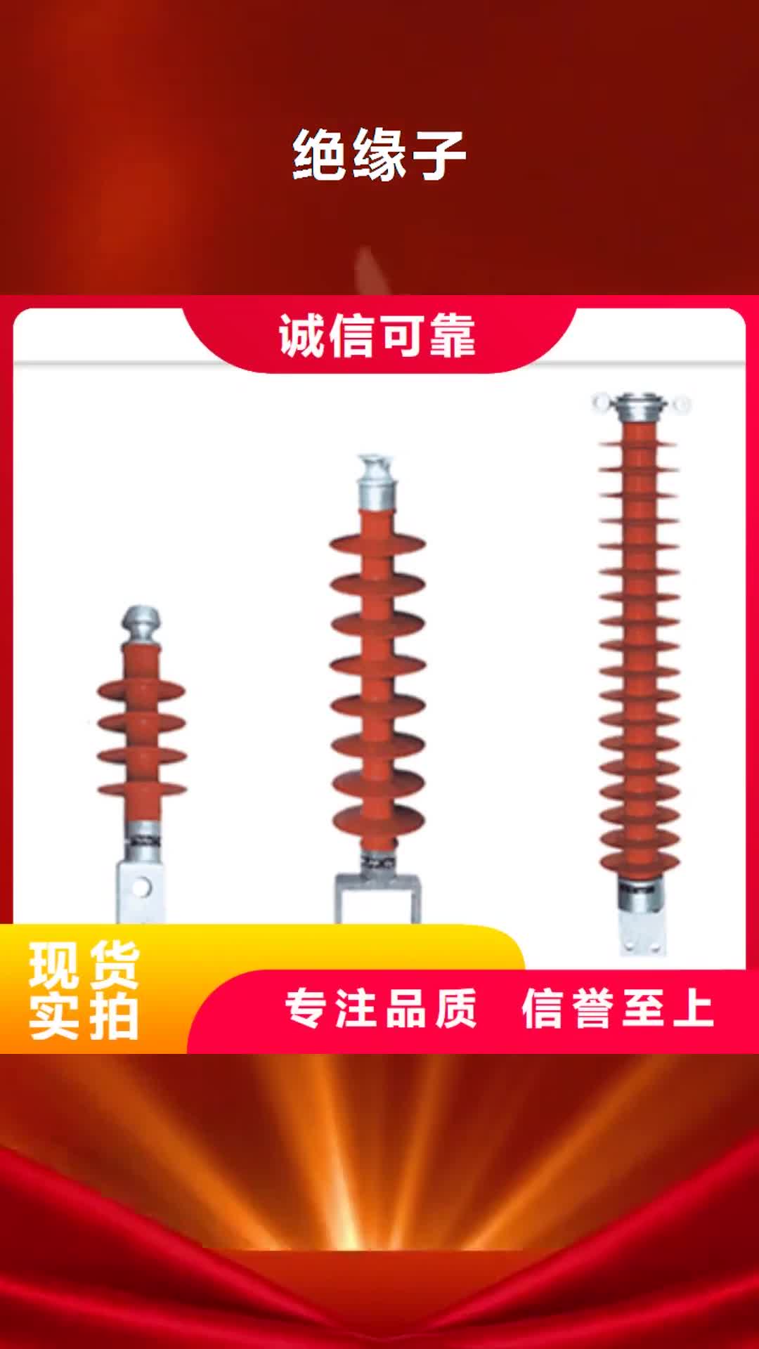 【云南绝缘子真空断路器按需定制真材实料】