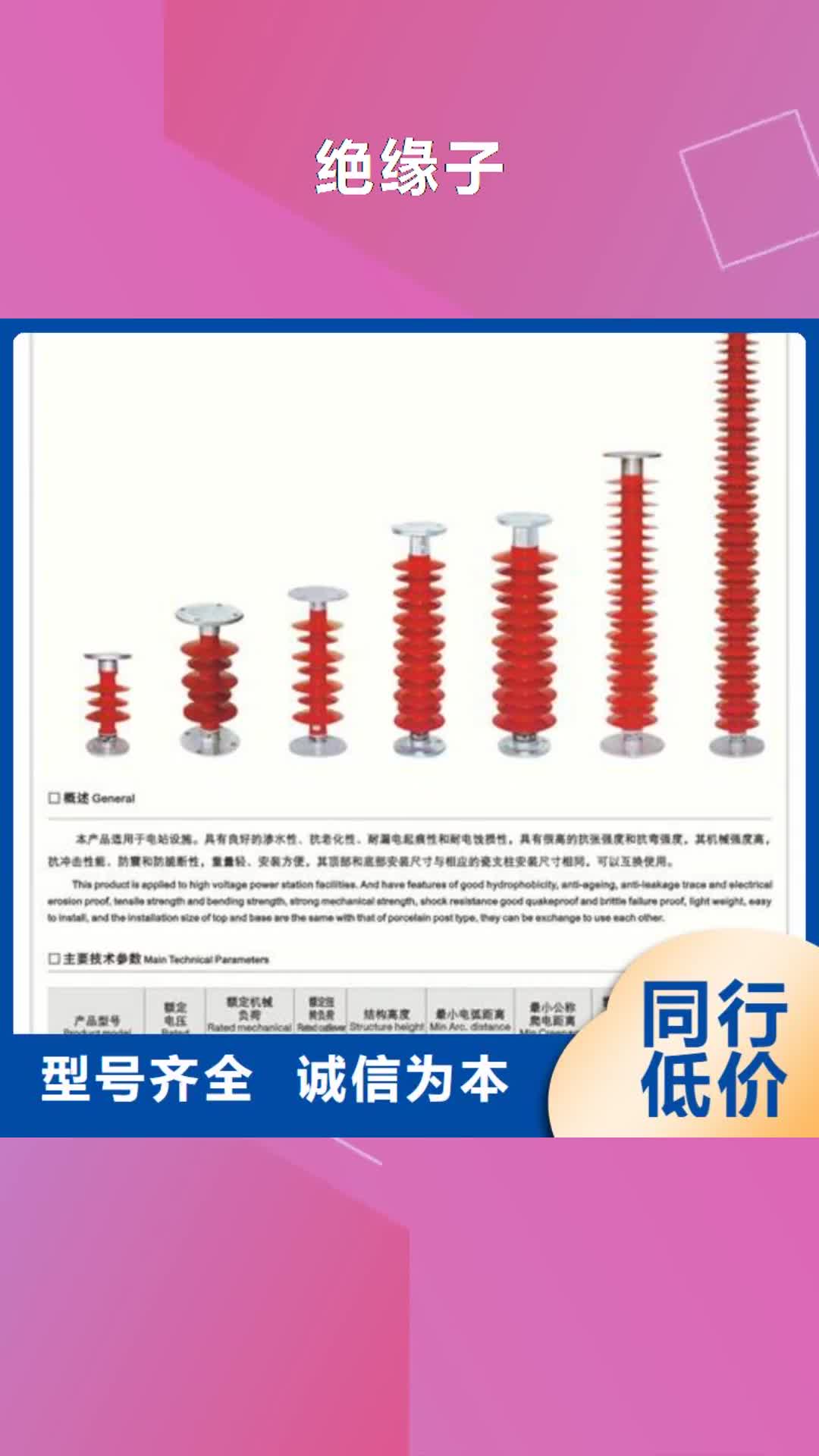 濮阳【绝缘子】高低压电器可接急单
