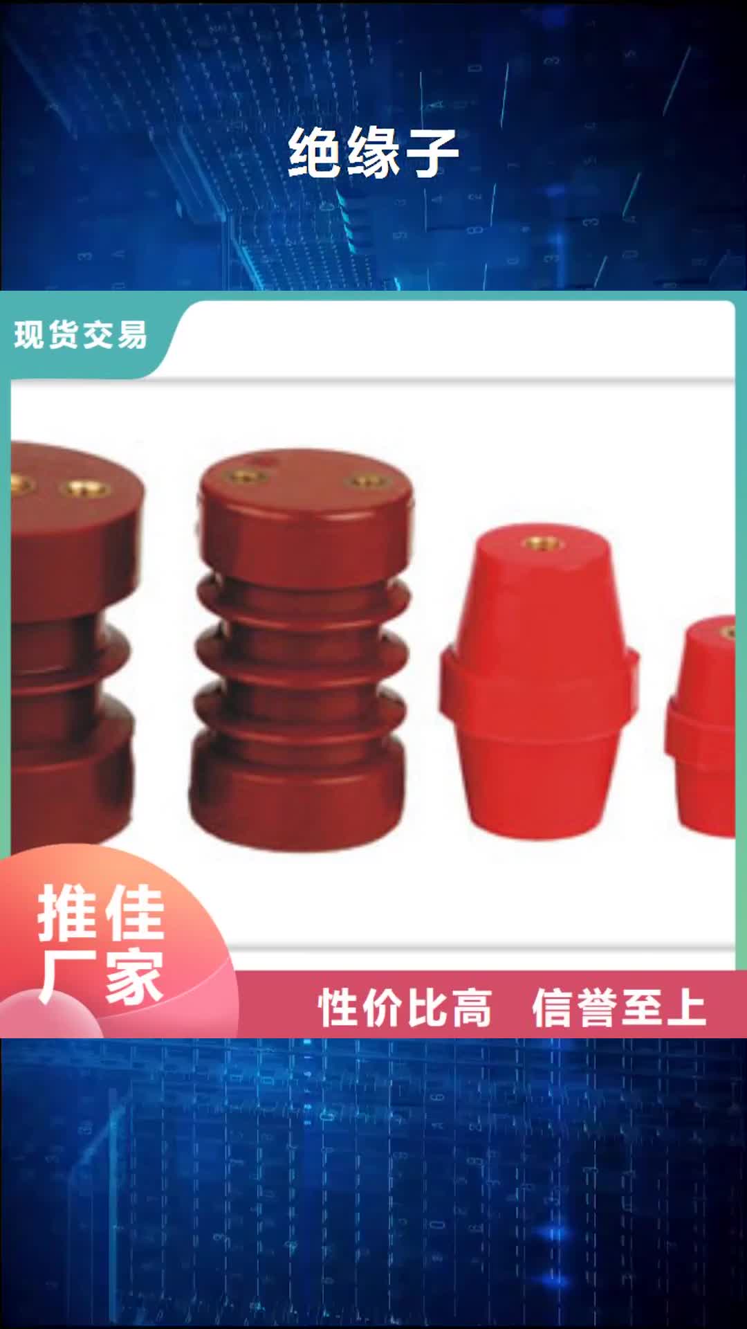 惠州 绝缘子_【真空断路器】满足多种行业需求